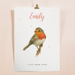 Robin birth poster - personalized - A3