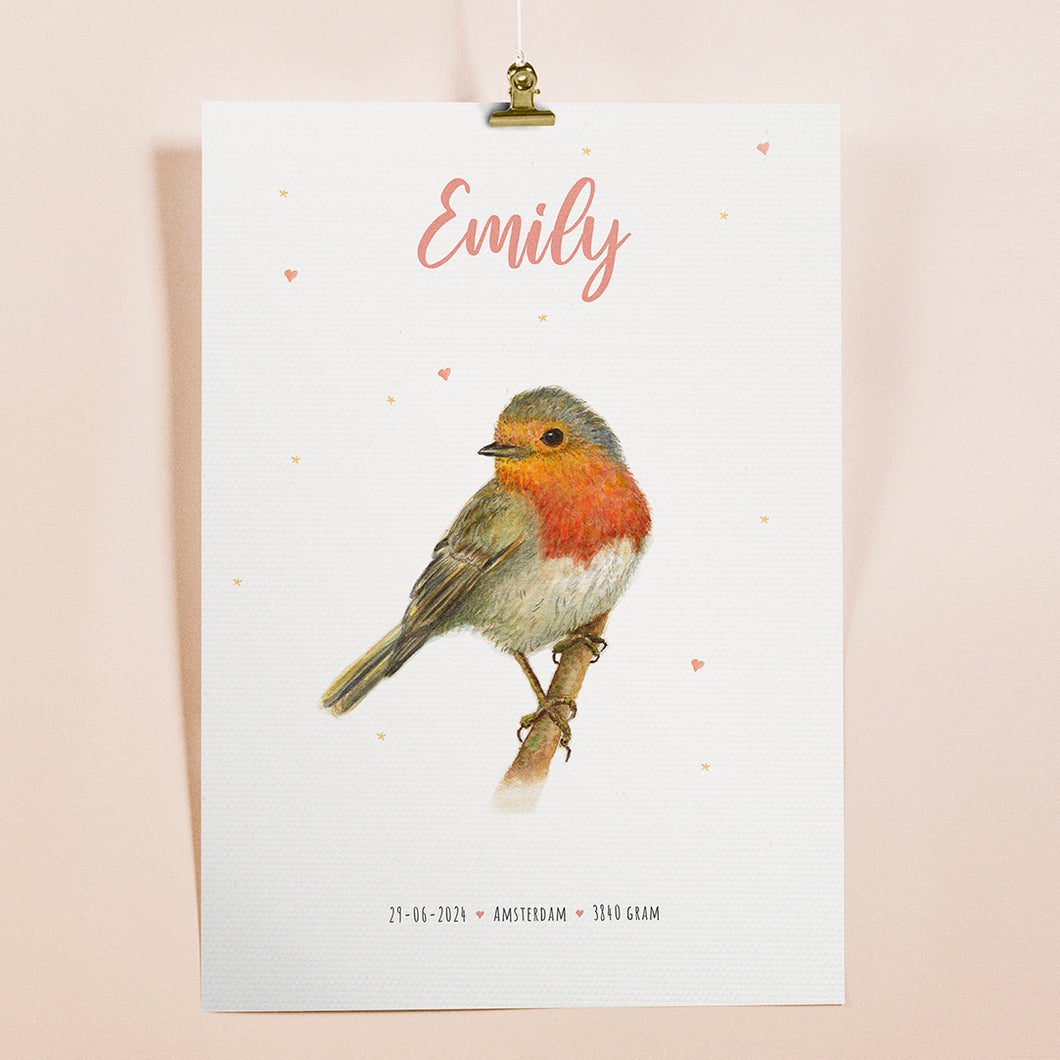 Robin birth poster - personalized - A3