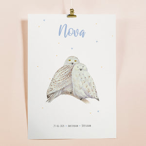 Birth poster snowy owls - personalised - A3