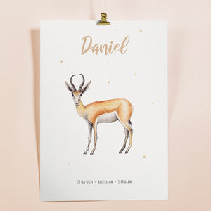 Poster springbok