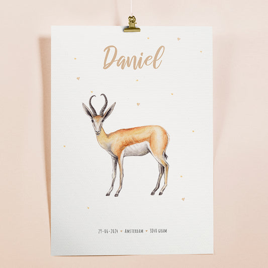 Birth poster springbok - personalised - A3