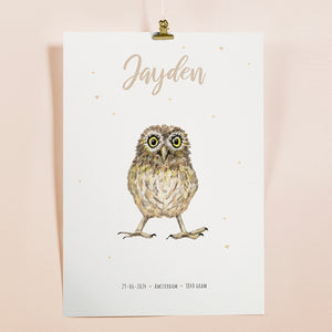 Poster uil - Art print