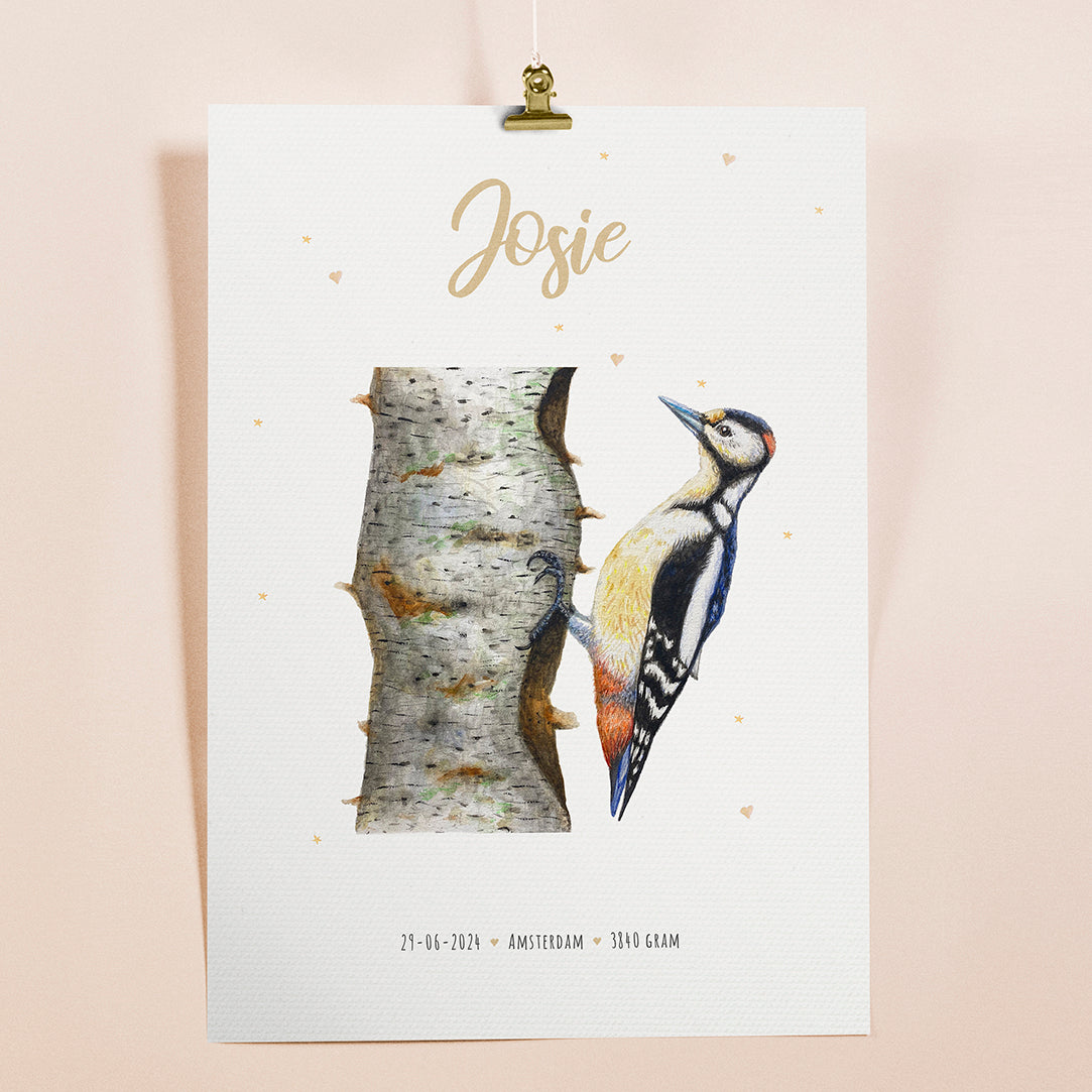 Poster specht - Art print