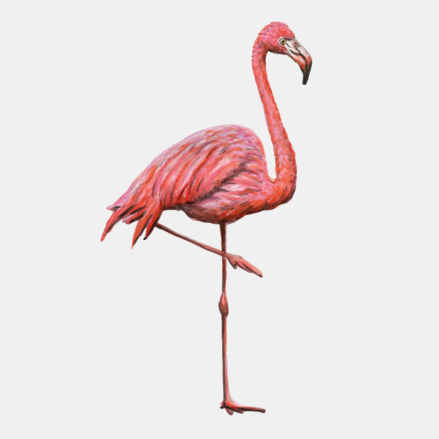 Wandtattoo Flamingo