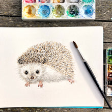 Afbeelding in Gallery-weergave laden, Origineel aquarel schilderij egel
