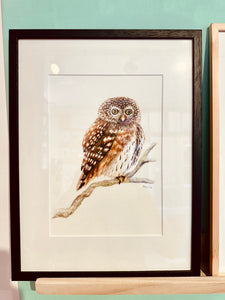 Origineel aquarel schilderij uil
