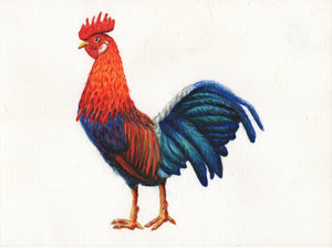 Original-Aquarell-Hahn