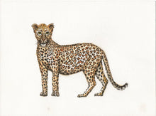 Afbeelding in Gallery-weergave laden, Originele aquarel schilderij luipaard
