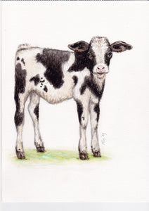 Original watercolor painting of a calf