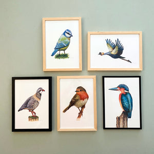 5 posters Dutch birds
