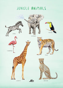 Poster 2 parrots