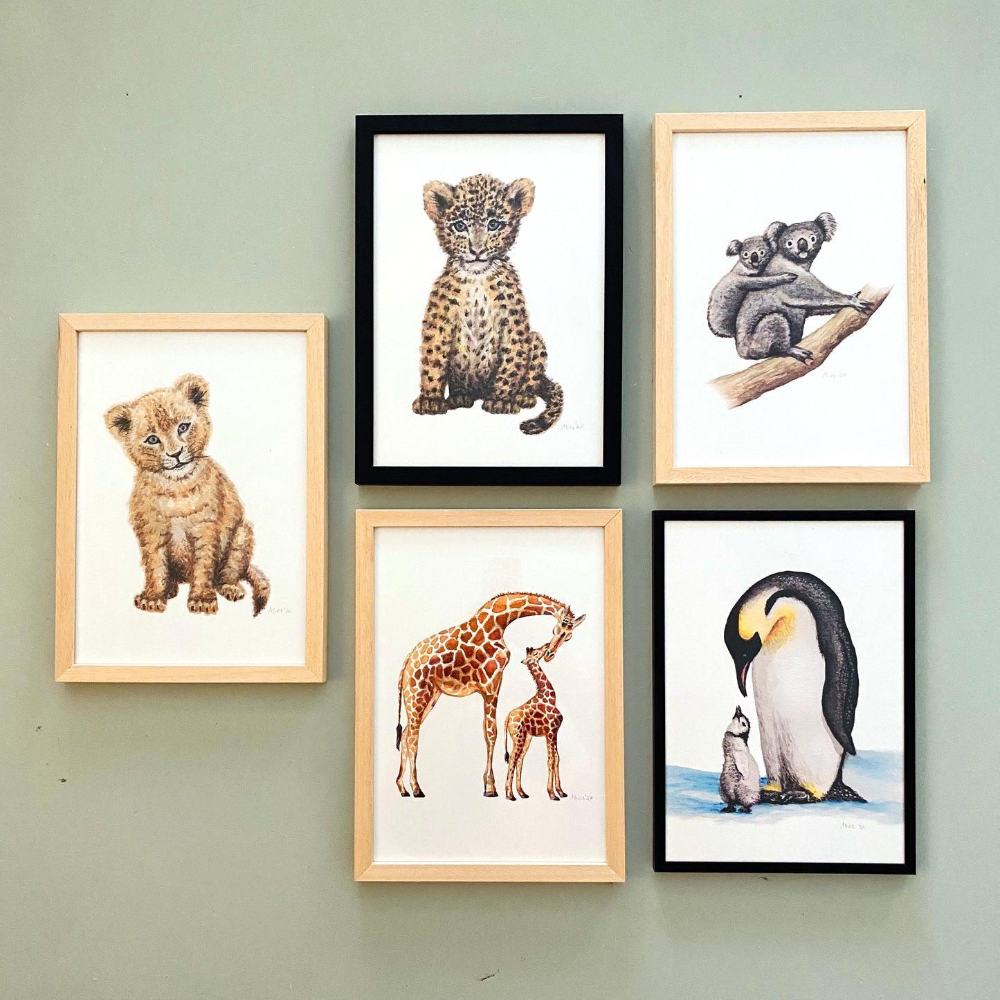 5 Poster Babytiere