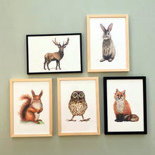 Load image into Gallery viewer, 5 posters forest animals
