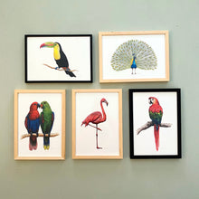 Load image into Gallery viewer, 5 posters tropical birds
