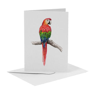 blanco wenskaart met papegaai