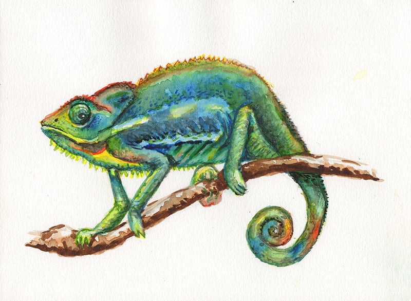 Original watercolour chameleon