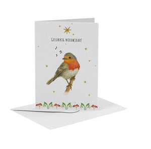 50 Christmas cards with envelope