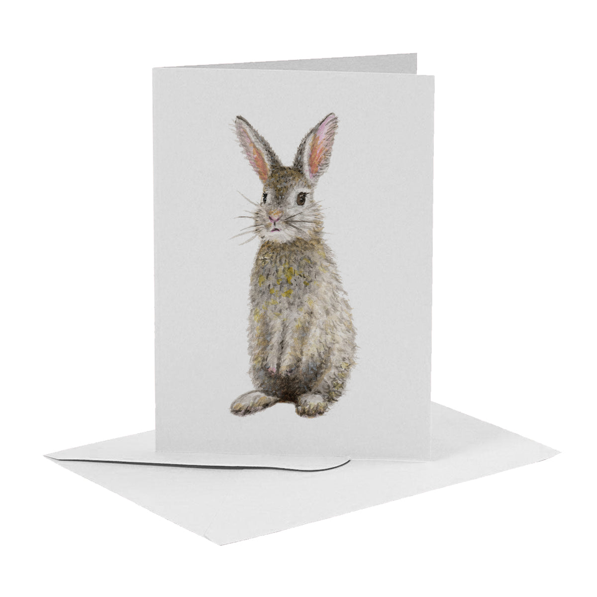 10 greeting cards tropical animals with envelope