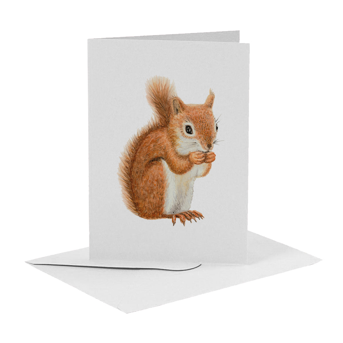 10 greeting cards tropical animals with envelope