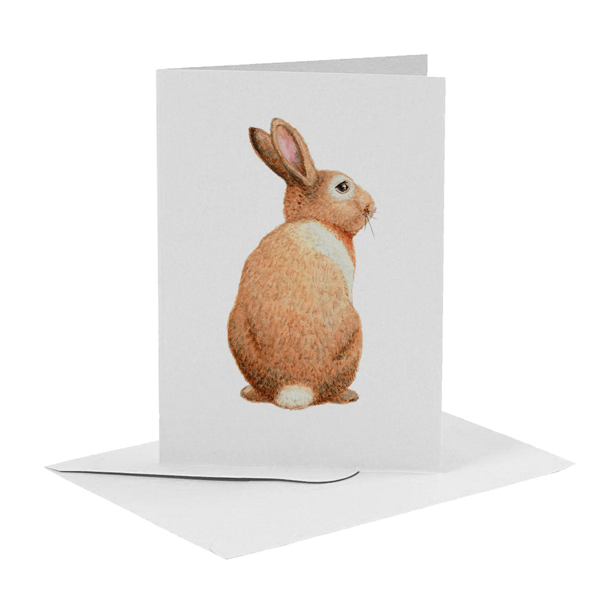 10 greeting cards tropical animals with envelope
