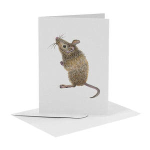 10 greeting cards tropical animals with envelope
