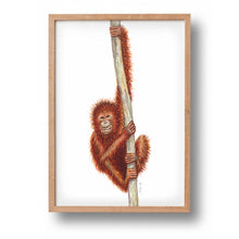 Load image into Gallery viewer, Poster monkey
