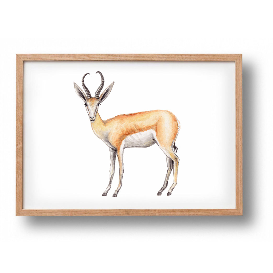 Poster Springbock