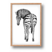 Lade das Bild in den Galerie-Viewer, Poster Zebra
