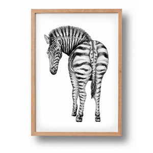 Poster zebra