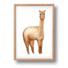 Afbeelding in Gallery-weergave laden, Poster alpaca - Art print
