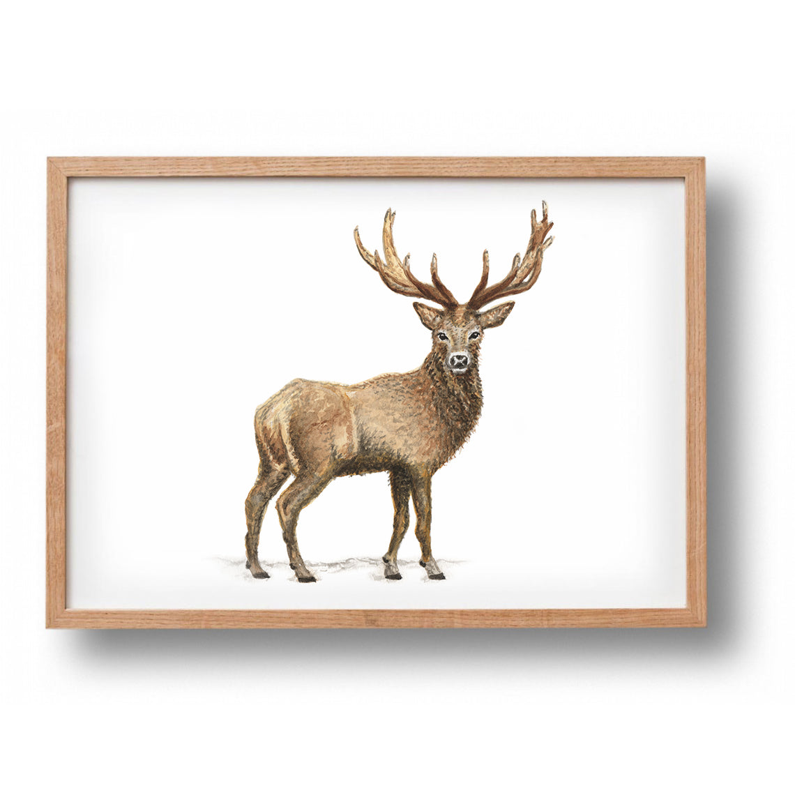 5 Poster Waldtiere