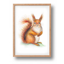 Afbeelding in Gallery-weergave laden, Poster eekhoorn - Art print
