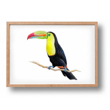 Afbeelding in Gallery-weergave laden, Poster toekan - Art print
