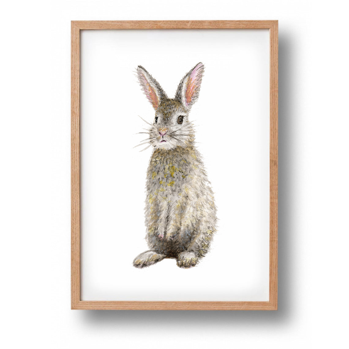 Poster Kaninchen