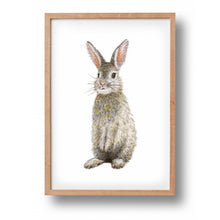 Lade das Bild in den Galerie-Viewer, Poster Kaninchen
