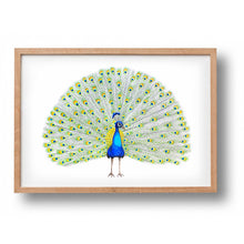Lade das Bild in den Galerie-Viewer, Poster Pfau
