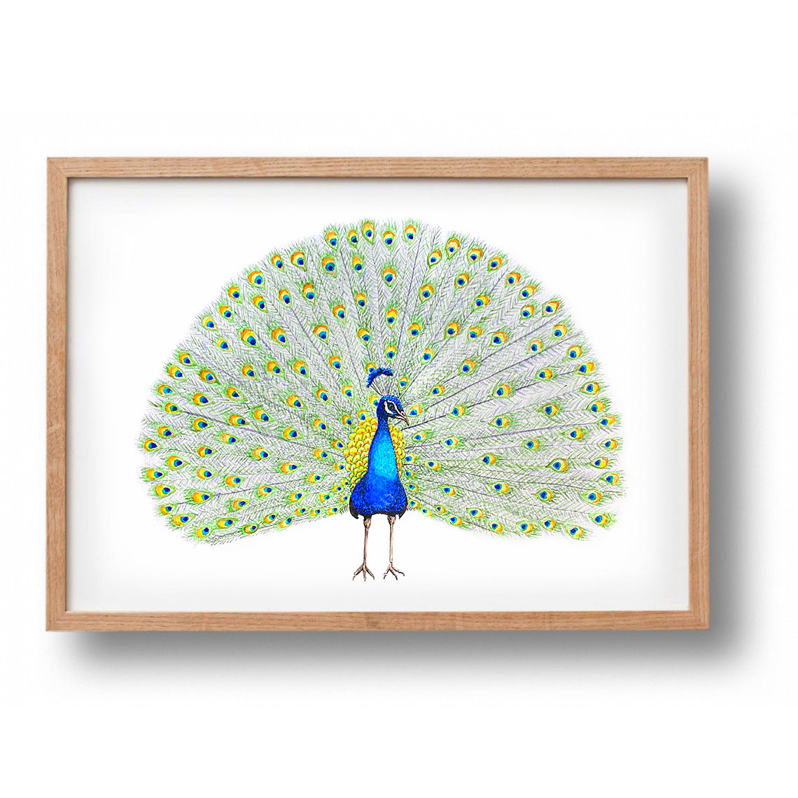 5 Poster tropische Vögel