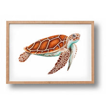 Afbeelding in Gallery-weergave laden, Poster zeeschildpad - Art print

