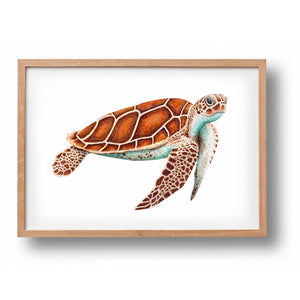 Poster zeeschildpad - Art print