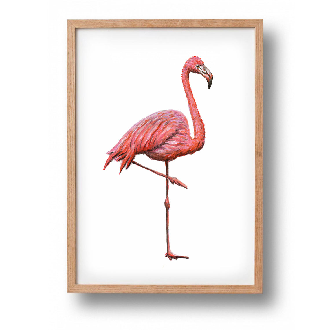 Poster flamingo