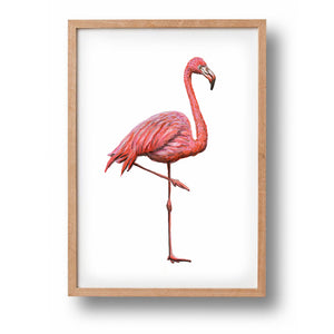 Poster flamingo