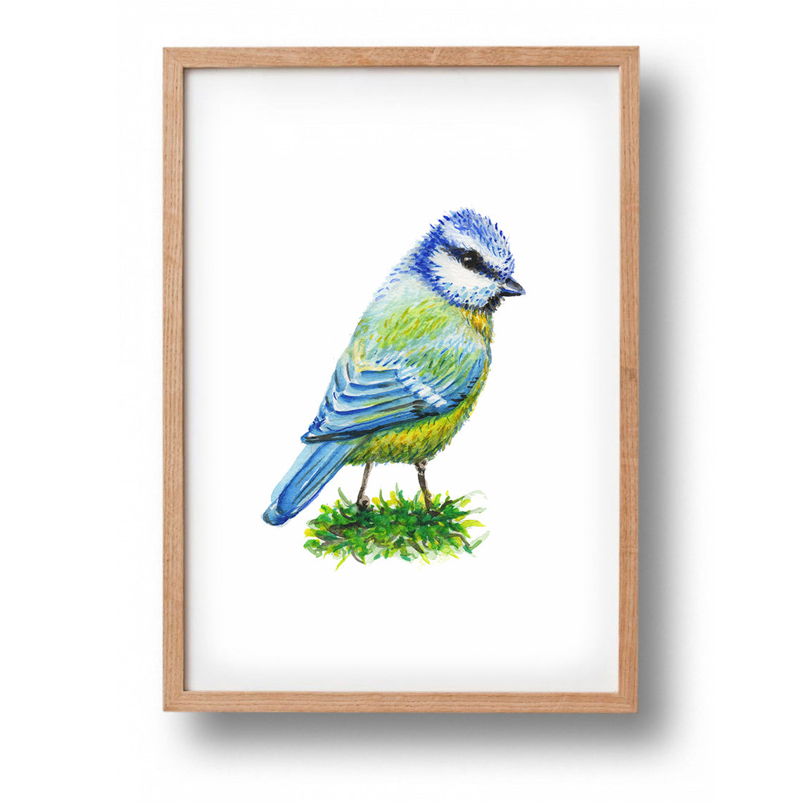 Poster blue tit