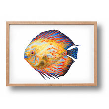 Load image into Gallery viewer, Poster tropical fish blue and yellow
