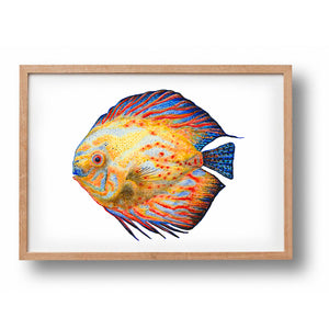 Poster tropische Fische blau / gelb