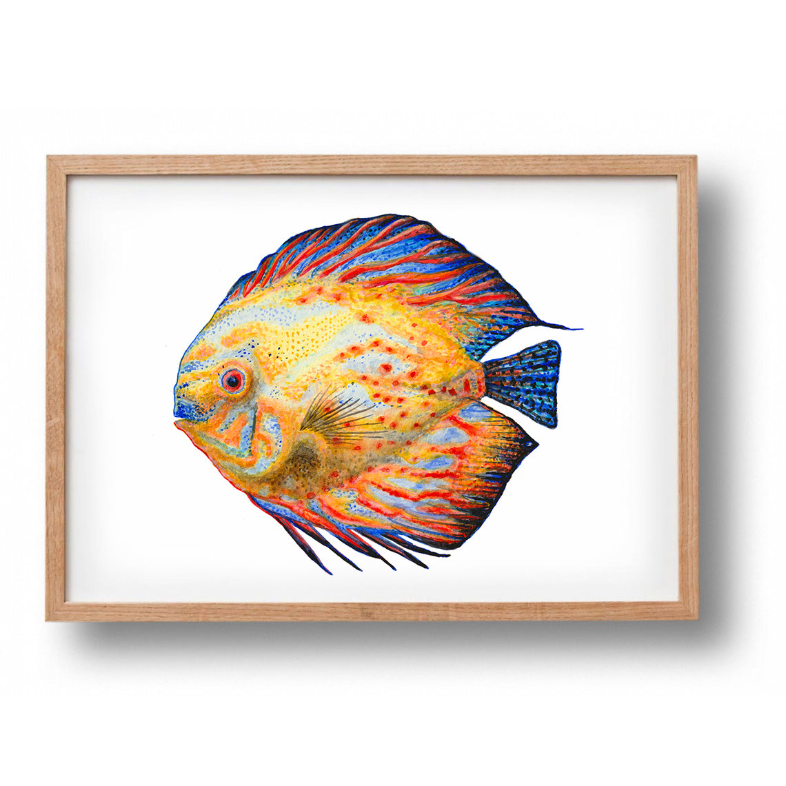 5 posters zeedieren