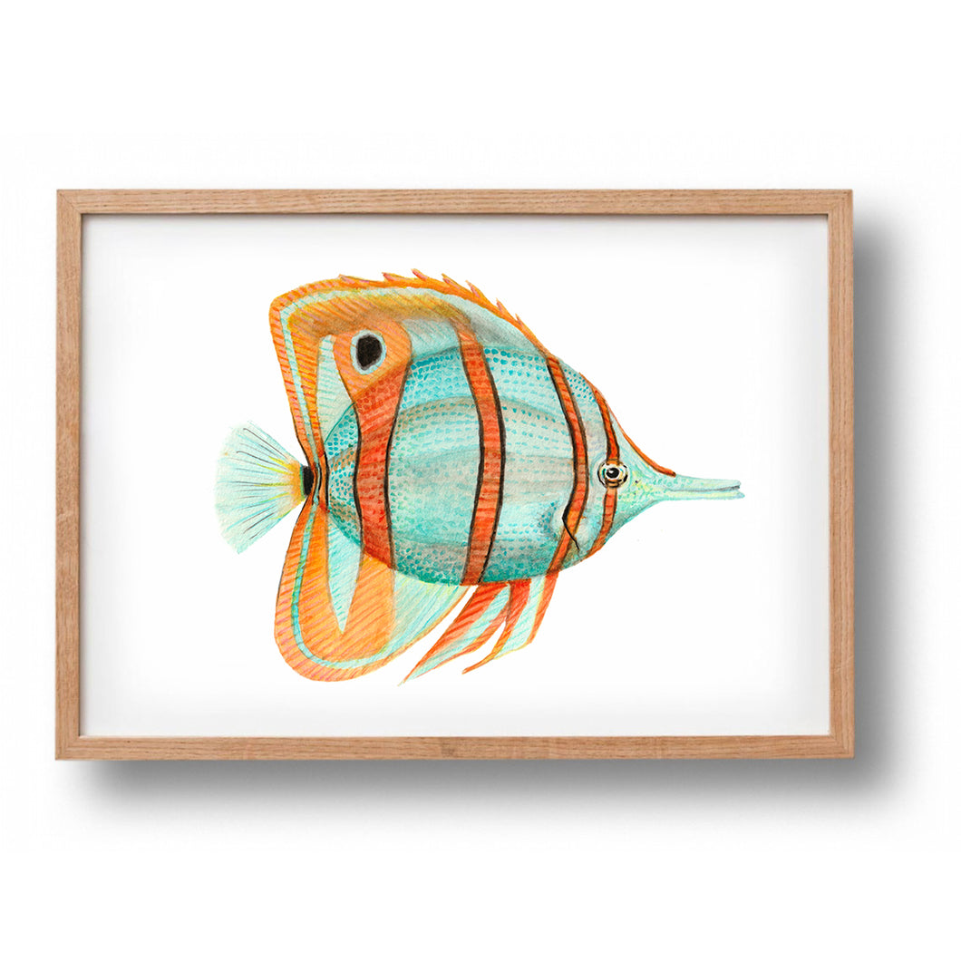 Poster tropical fish blue and orange