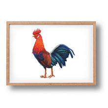 Load image into Gallery viewer, Poster rooster
