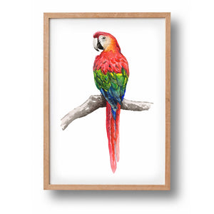 Poster papegaai - Art print