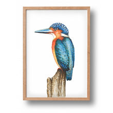 Afbeelding in Gallery-weergave laden, Poster ijsvogel - Art print
