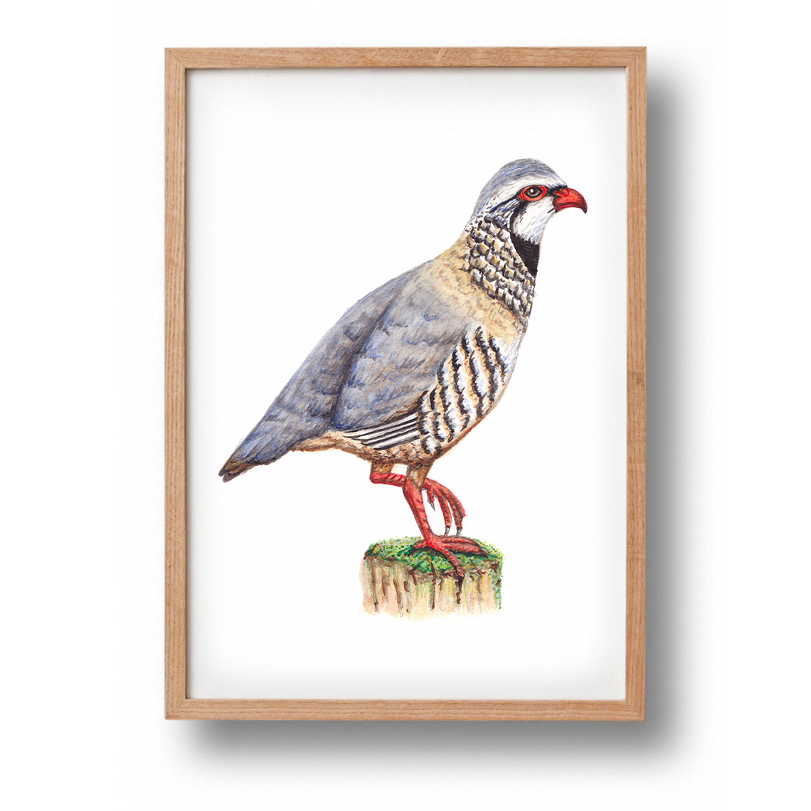 Poster rode patrijs - Art print